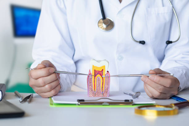 Best Tooth Infection Emergency Dentist  in Parker, FL
